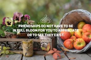 friendships do not have to be in full bloom for you to appreciate or know they exist