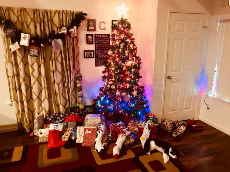 Away From Home for the Holidays … and Still Celebrating!