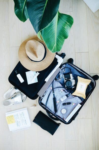 luggage with safari hat and palm leaves