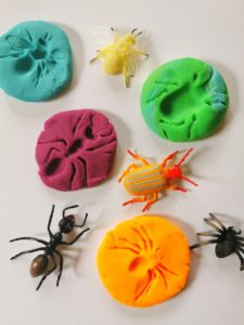 Insect Playdough Fossils