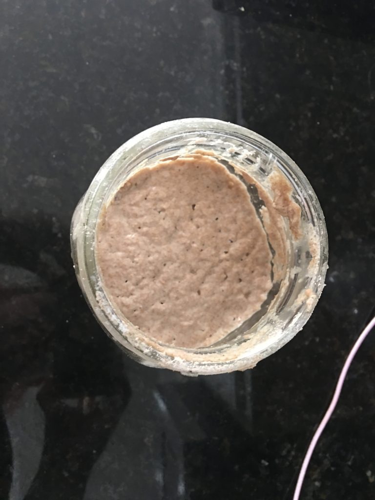 top view of a sourdough starter