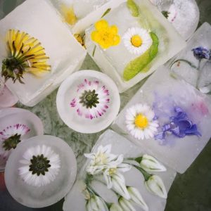 Iced Flowers 