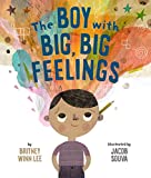 The Boy with the Big, Big Feelings book