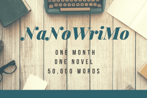 NaNoWriMo