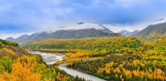 Five Things to Love About Living in Fairbanks, Alaska wild outdoors of alaska