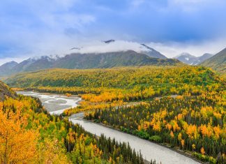 wild outdoors of alaska