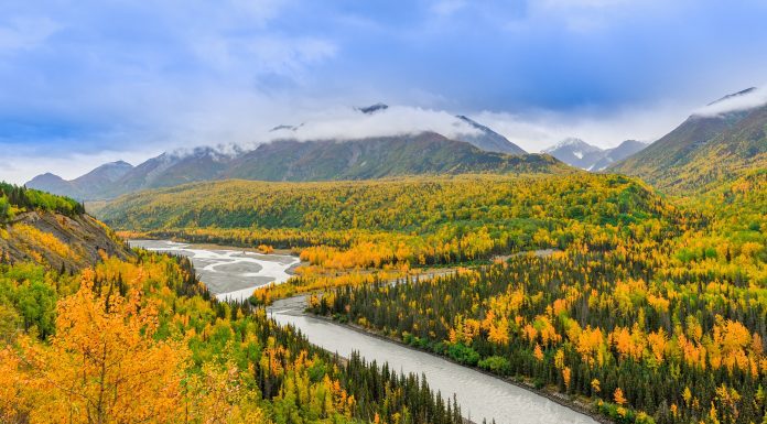 wild outdoors of alaska