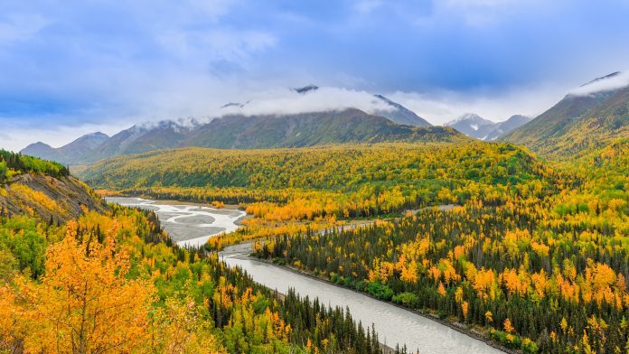 wild outdoors of alaska