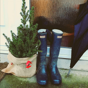 Rain boots with a small Christmas Tree