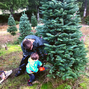 Man and little boy cutting Christmas tree down together