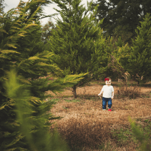 Little girl standing in a tree farm smiling