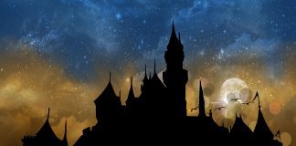 The Princess Problem disney castle silhouette