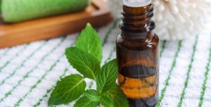 peppermint oil