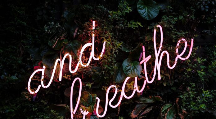 and breathe neon sign on greenery