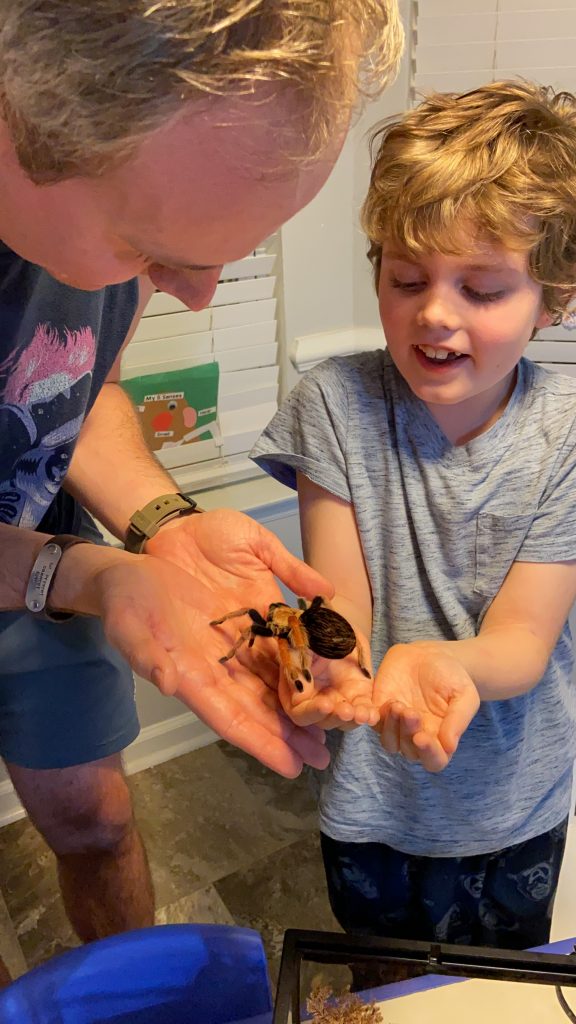 man and kid holding a tarantula