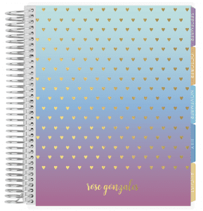 Erin Condren metallic planner