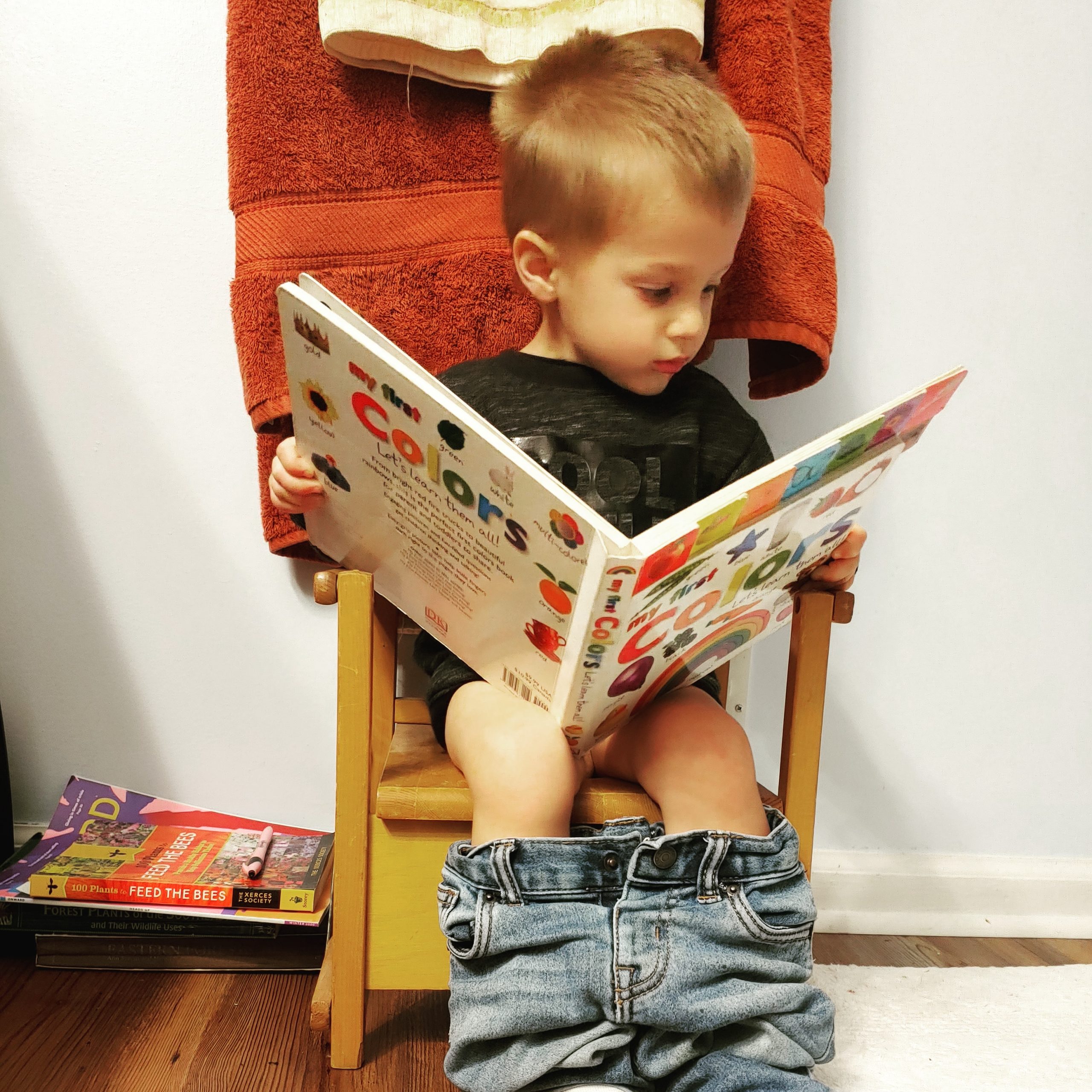 Toddler boy sitting on a potty training chair reading a colorful book