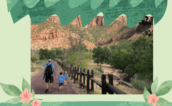 Our Top Tips for Visiting National Parks with Kids father and son at a national park on green nature background