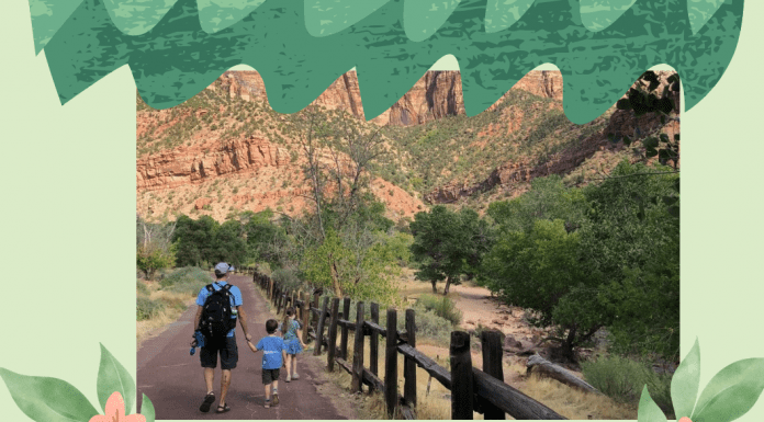 father and son at a national park on green nature background