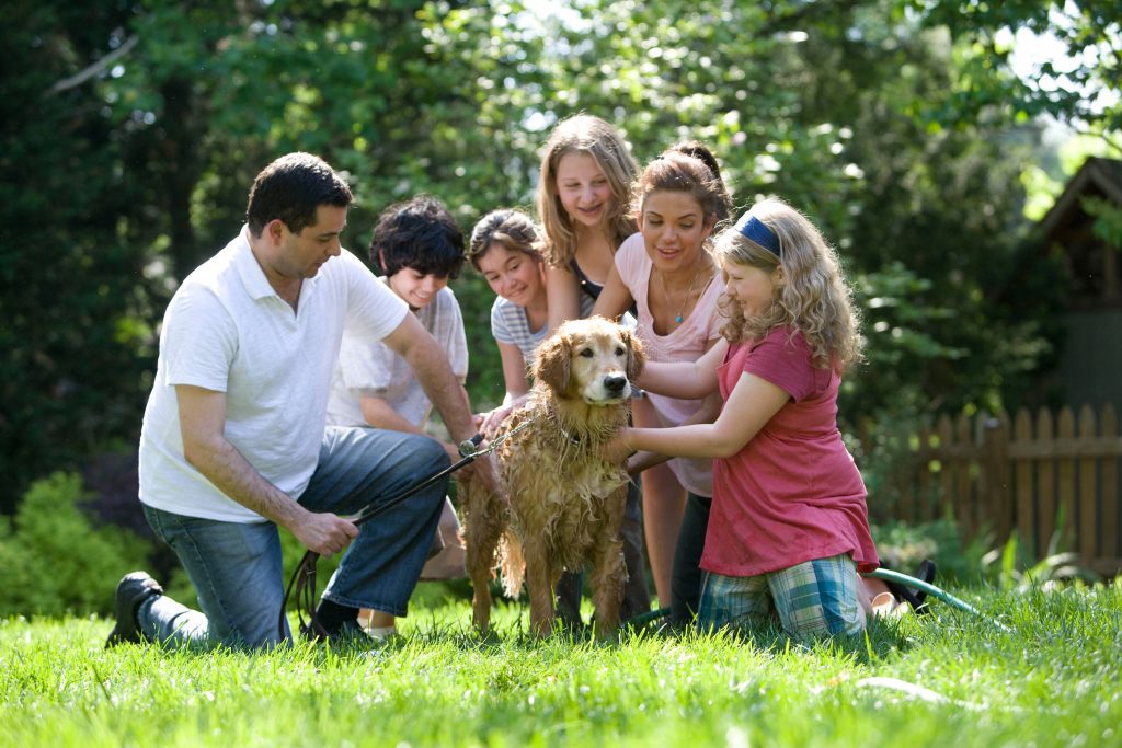 a family surrounding a dog