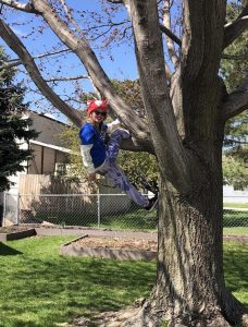 girl in blue shirt and red hat climbing a tree