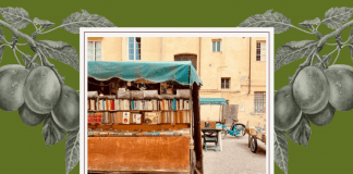 pictures of Italian square on white frame with olive green background with greyscale grape vines