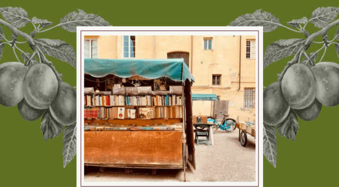 pictures of Italian square on white frame with olive green background with greyscale grape vines