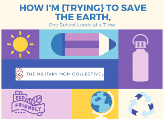 "How I'm {Trying} to Save the Earth, One School Lunch at a Time" in text with purple and blue squares and rectangles and various eco-friendly supplies, a globe, and recycle sign