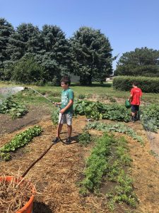 two boys watering a garden