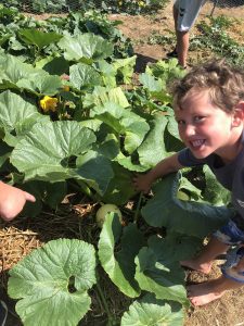 boys smiles in front of pumpkin plants