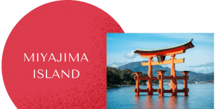 Miyajima: Exploring Japan’s Deer Island Miyajima Island on red circle with torii gate on water