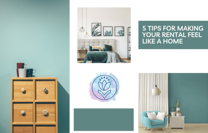 sage green and white walls with shots of a home and "5 Tips for Making Your Rental Feel Like a Home" in text and MMC logo