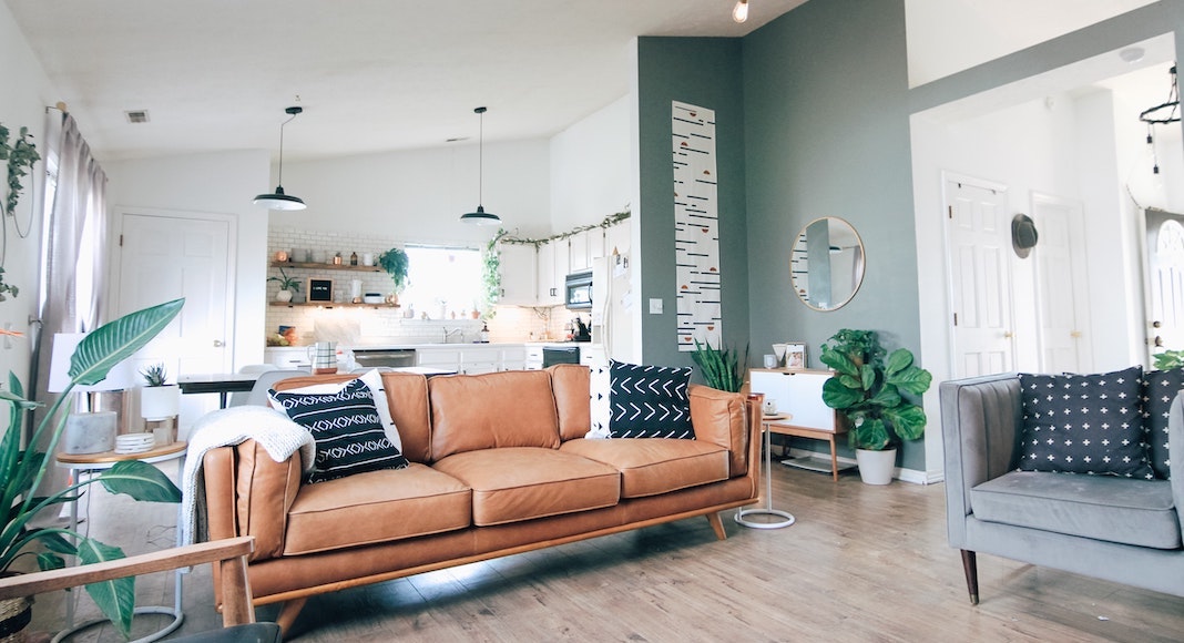 living room with white walls and sage green accent wall, modern furnishings and plants