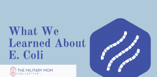 What We Learned About E. Coli blue hexagon with E. Coli strains and "What We Learned About E. Coli" in text with MMC logo