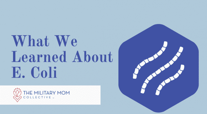 What We Learned About E. Coli blue hexagon with E. Coli strains and "What We Learned About E. Coli" in text with MMC logo