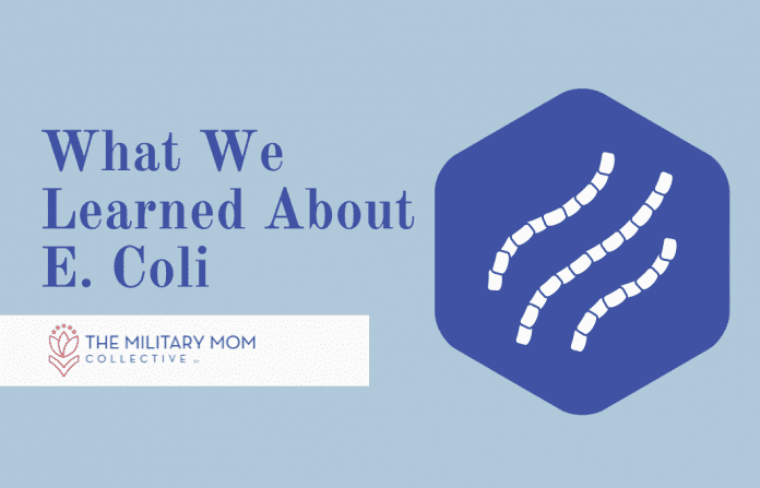 blue hexagon with E. Coli strains and "What We Learned About E. Coli" in text with MMC logo
