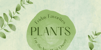 Friday Favorites – Jeannette’s Favorite Plants for the New Plant Owner green climbing plant leaves on a green background with "Friday Favorites: Plants for the New Plant Owner" in text and MMC logo