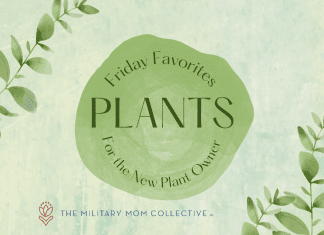 green climbing plant leaves on a green background with "Friday Favorites: Plants for the New Plant Owner" in text and MMC logo