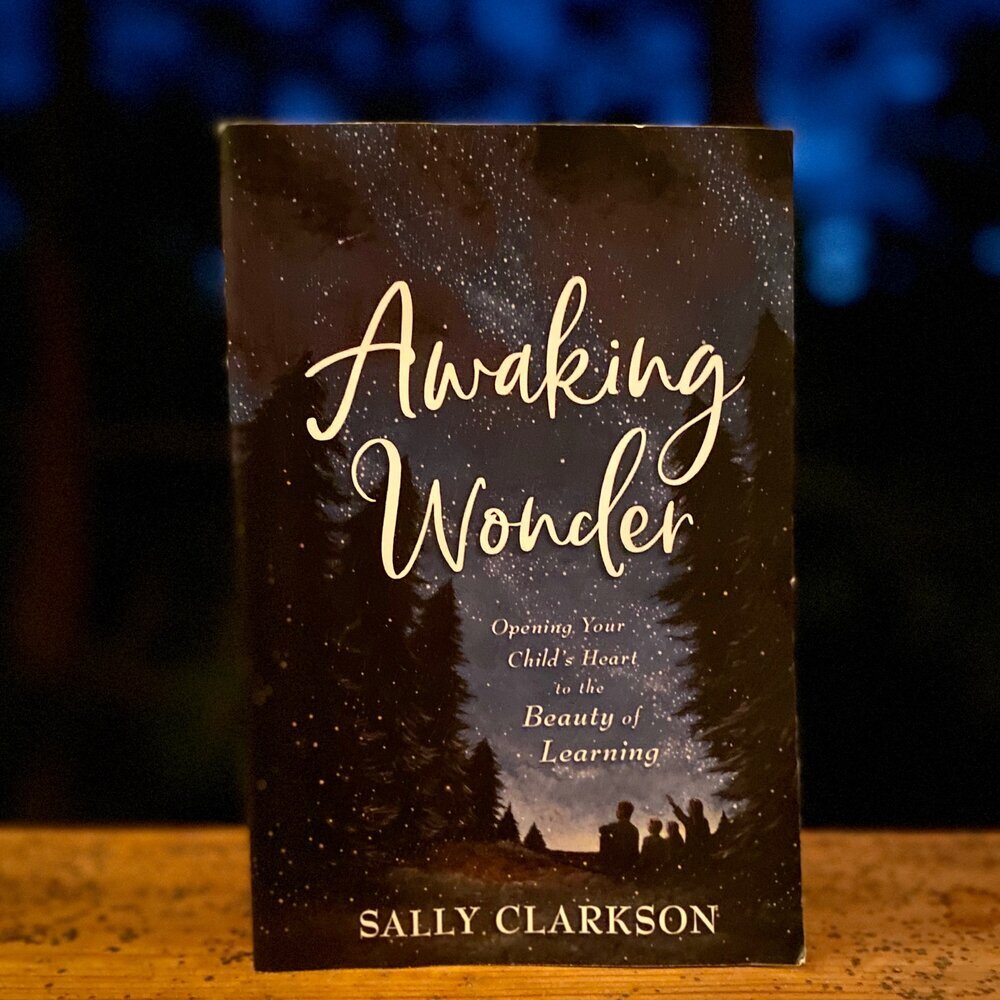 awakingwonder Book titled Awaking Wonder