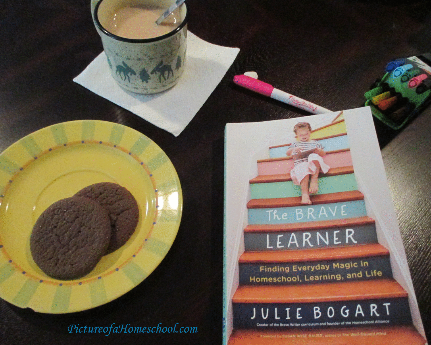 bravelearner Book titled The Brave Learner