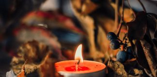 Tested and Approved: 5 Pumpkin Candles to Love This Fall A lit orange tea light candle surrounded by fall leavess and