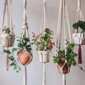 set of 5 macrame plant hangers