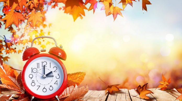 fall leaves and a sunny background with a red alarm clock