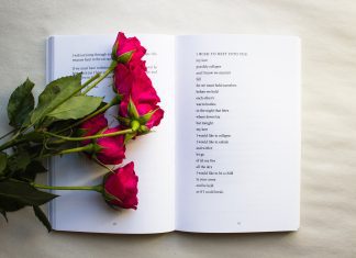 book of poetry open with dark pink roses laying on top