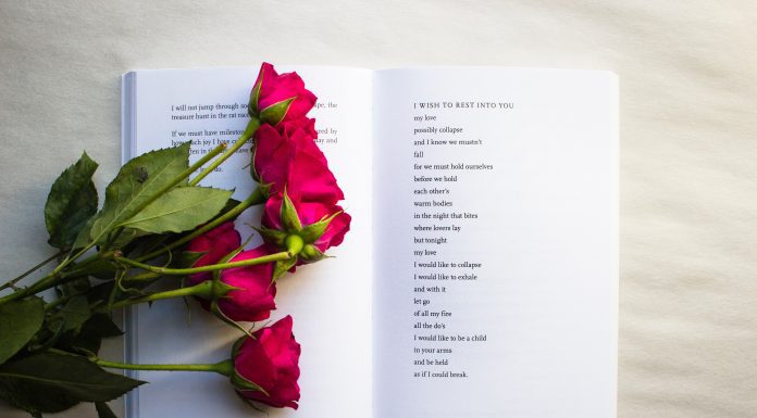 book of poetry open with dark pink roses laying on top