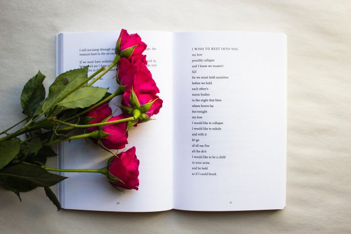 book of poetry open with dark pink roses laying on top