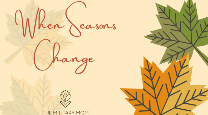 fall leaves in green and orange with faded leaves on a pale yellow background with "When Seasons Change" in text and MMC logo