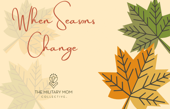 fall leaves in green and orange with faded leaves on a pale yellow background with "When Seasons Change" in text and MMC logo