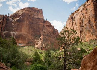 two women hiking in Zion National Park