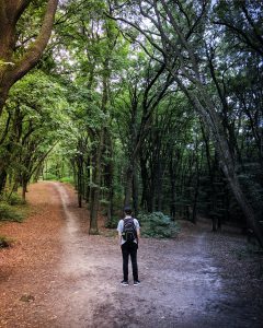 a man with a backpack standing in a forest with two paths